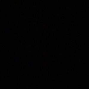 Meet your Posher, Janae